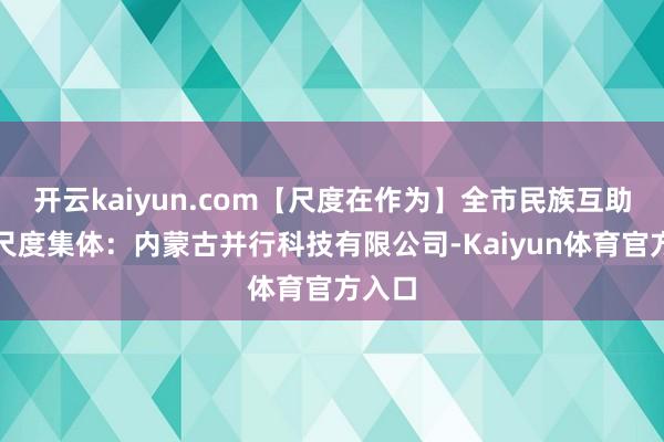 开云kaiyun.com【尺度在作为】全市民族互助越过尺度集体：内蒙古并行科技有限公司-Kaiyun体育官方入口