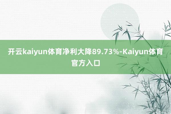 开云kaiyun体育净利大降89.73%-Kaiyun体育官方入口